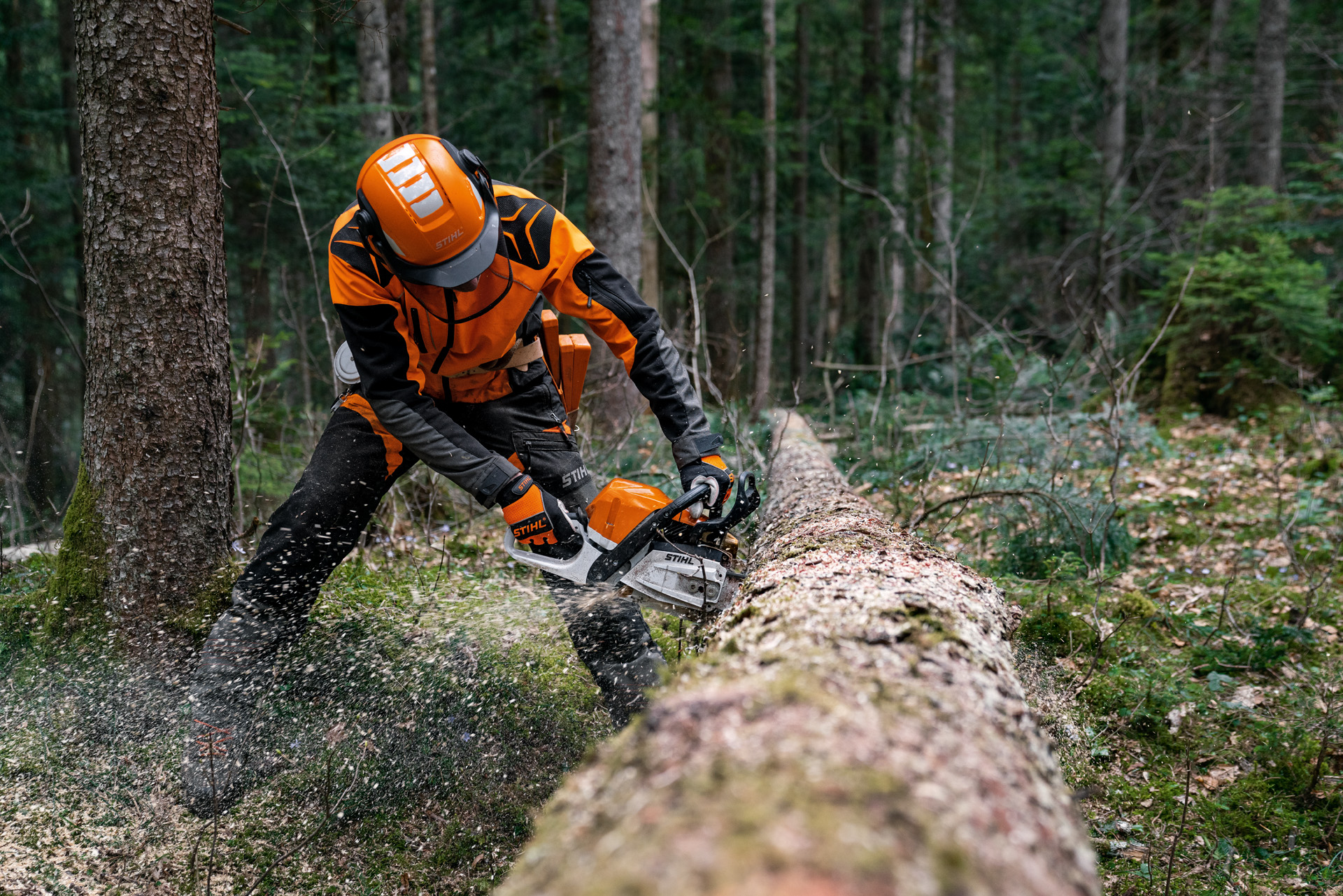 Egy férfi védőfelszerelésben kivágott fát fűrészel a magnéziumdugattyús STILH MS 400 C-M benzines motorfűrésszel