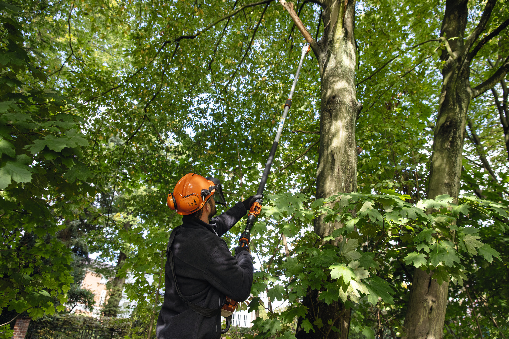 Egy védőfelszerelésben lévő férfi egy STIHL HTA 150 akkumulátoros magassági ágnyesővel nyírfadarabolást végez