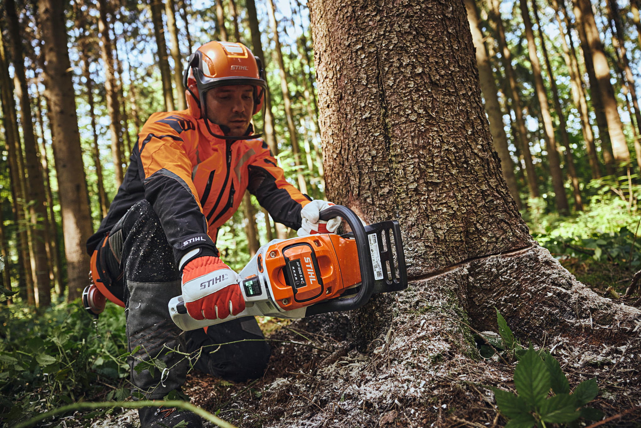 Egy STIHL védőruházatban dolgozó férfi fát vág