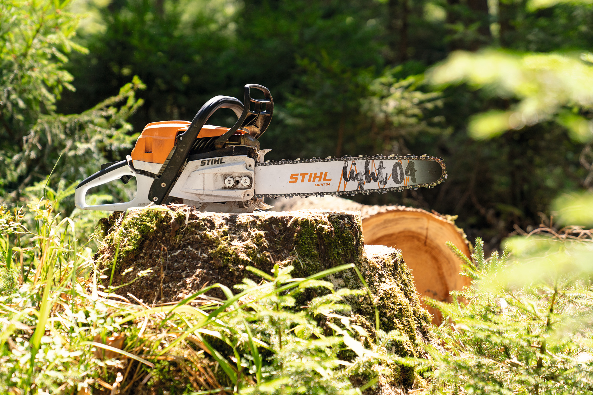 STIHL MS 261 C-M benzines motorfűrész egy fatörzsön az erdőben