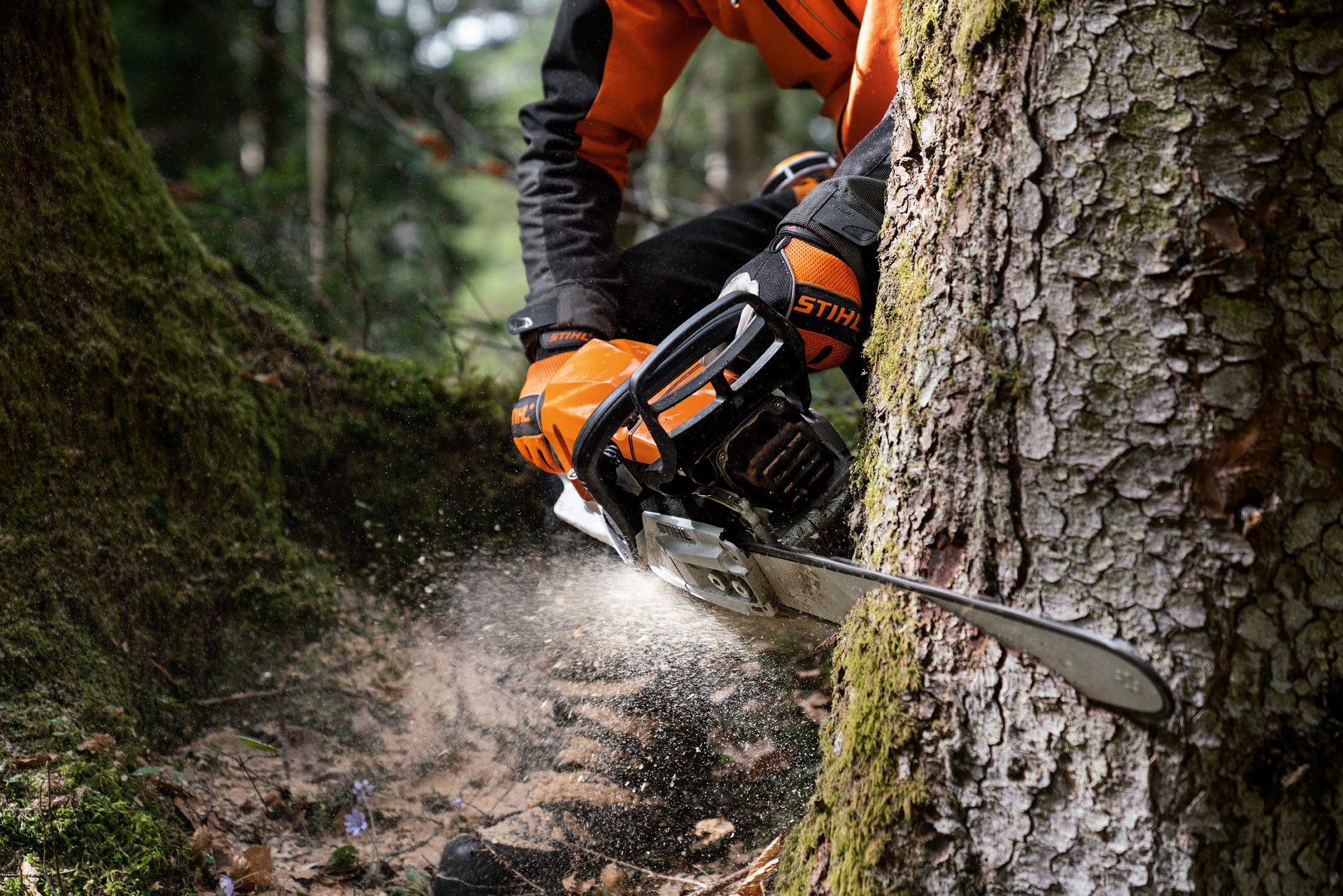 Egy férfi védőfelszerelésben fát fűrészel egy magnéziumdugattyús STILH MS 400 C-M benzinmotoros fűrésszel