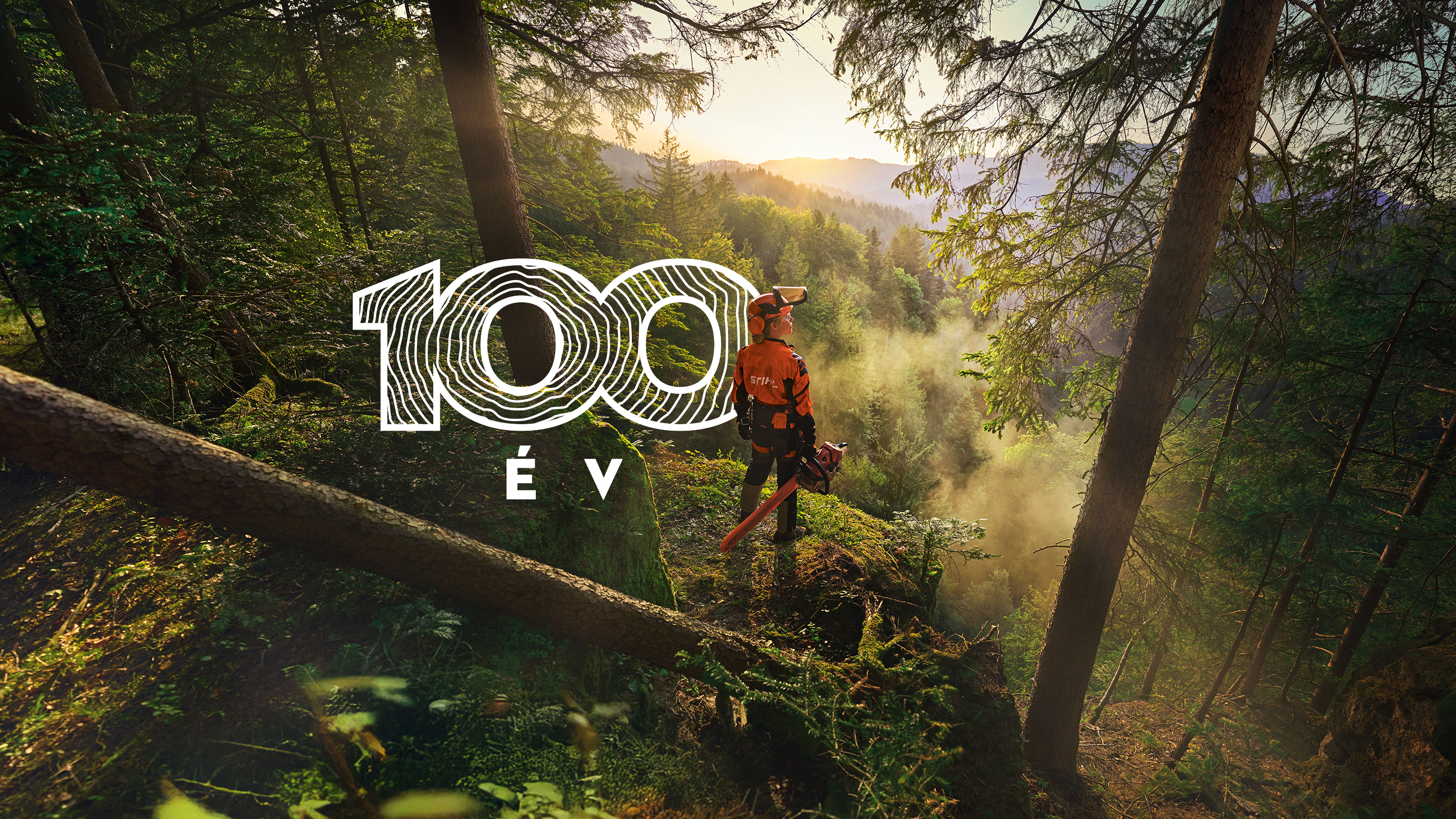 Egy nő áll egy szikla szélén egy zöld erdőben. Narancssárga STIHL munkaruhát, ADVANCE ProCom headsetet visel, és egy STIHL MS láncfűrészt tart a kezében.