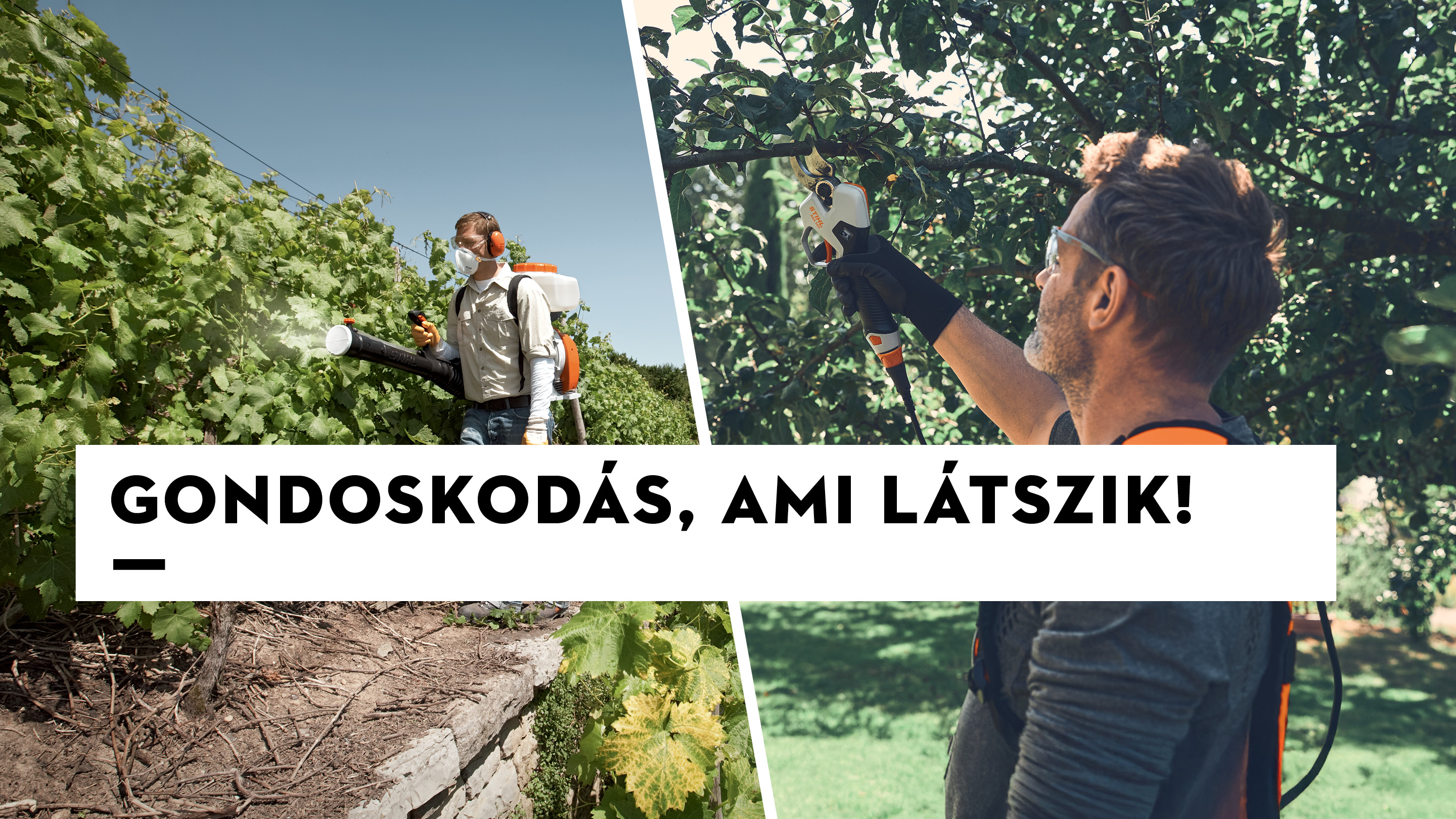 Szezonális ajánlatok