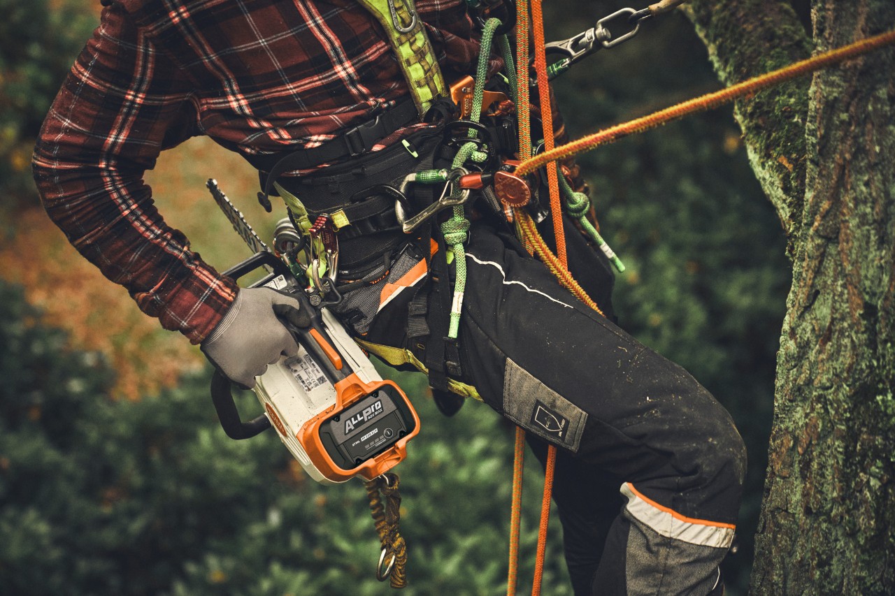 Prim-plan cu un bărbat care se cațără într-un copac folosind un acumulator ALLPRO într-un ferăstrău cu lanț cu acumulator STIHL MSA 190 T