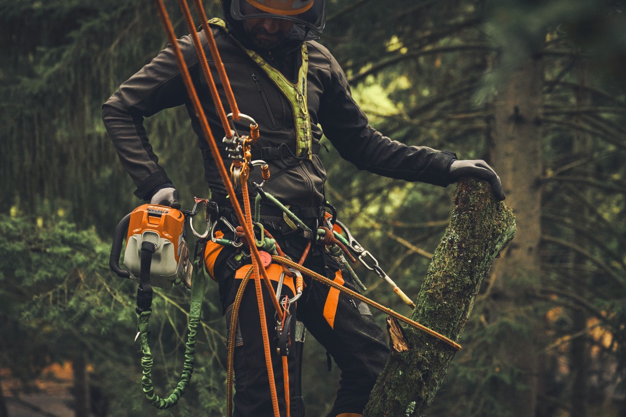 Egy férfi egy emelőkosáron áll, és az STIHL MSA 190 T akkumulátoros motorfűrésszel ágakat vág